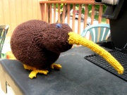 a knitted kiwi